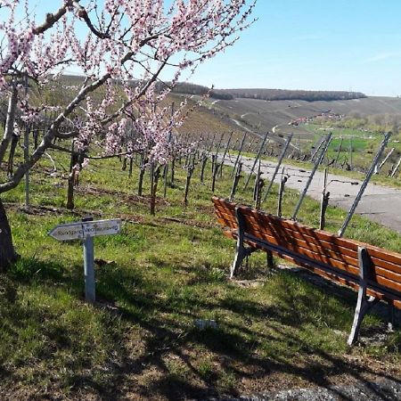 Ferienwohnung - Zimmervermietung Ringelmann Dettelbach Buitenkant foto