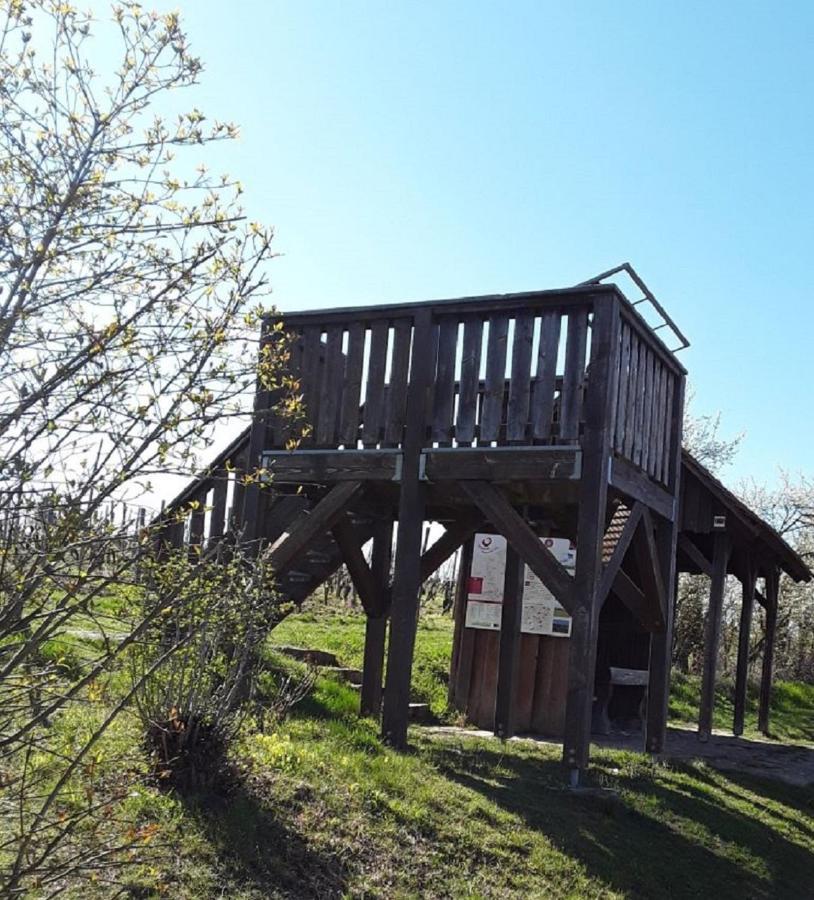 Ferienwohnung - Zimmervermietung Ringelmann Dettelbach Buitenkant foto
